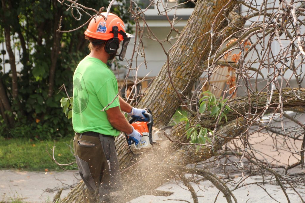 Tree Service