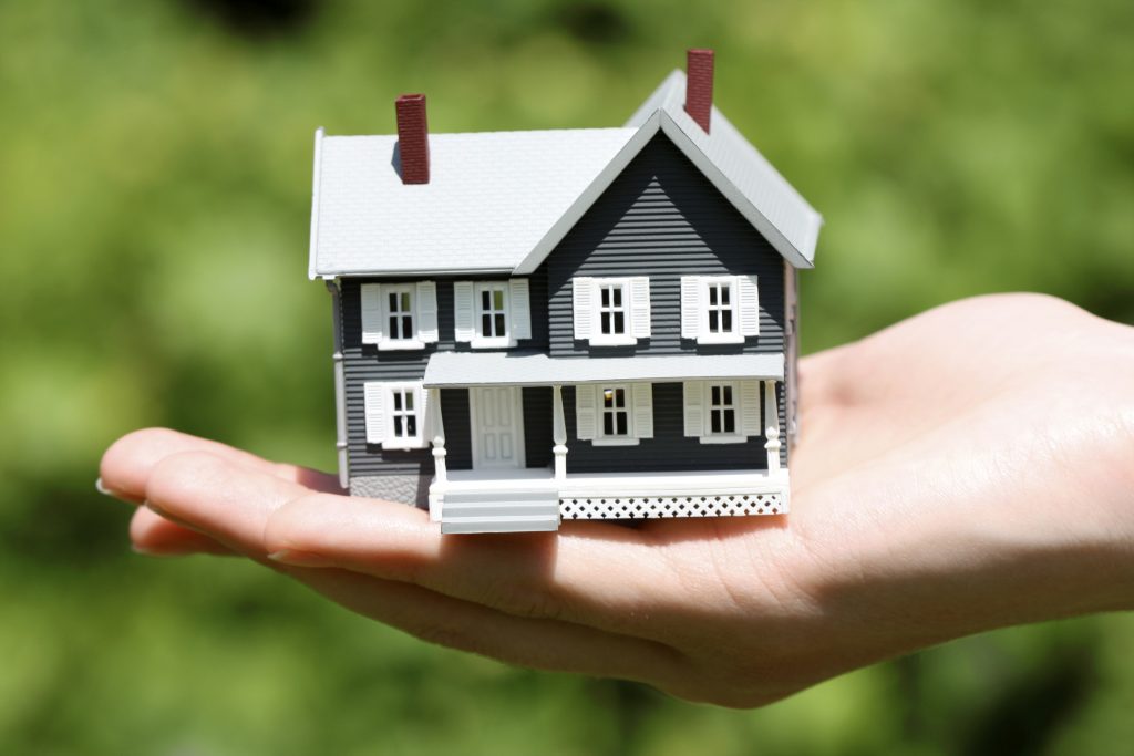 Real Estate Agent